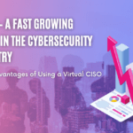 vCISO Services