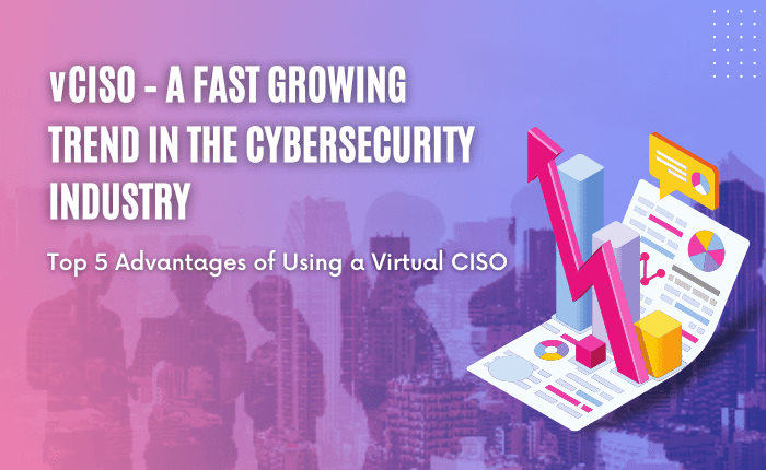 vCISO Services